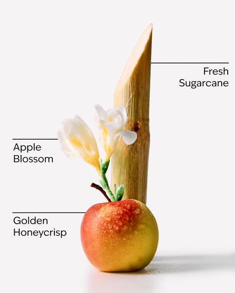 Honeycrisp Apple Wallflowers Refills 2-Pack