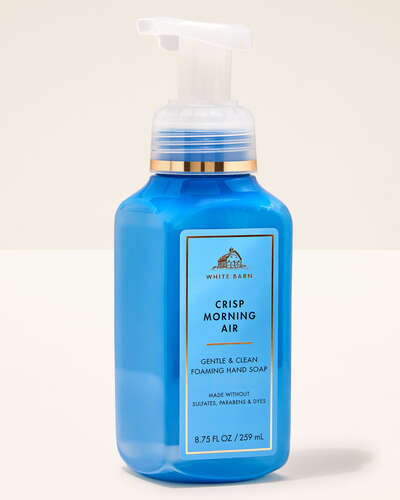 Crisp Morning Air Gentle & Clean Foaming Hand Soap