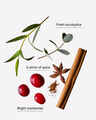 Cranberry & Eucalyptus 3-Wick Candle
