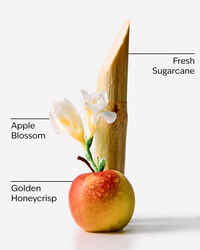 Honeycrisp Apple Hanging Fragrance Diffuser