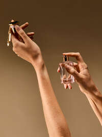 In the Stars Eau De Parfum