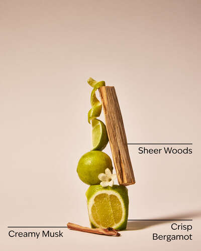 Fresh Musk Fine Fragrance Mist