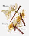 Dreamy Amber Wallflowers Fragrance Refill
