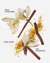 Dreamy Amber Wallflowers Fragrance Refill