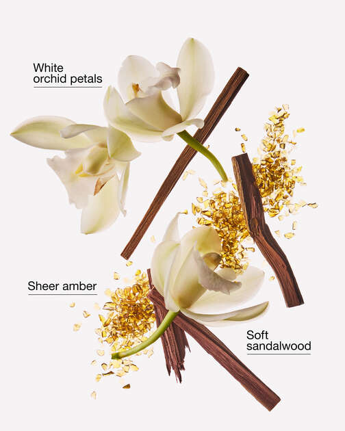 Dreamy Amber Wallflowers Fragrance Refill