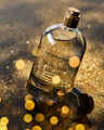 Into the Night Eau De Parfum