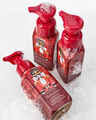 'Tis the Season Gentle & Clean Foaming Hand Soap