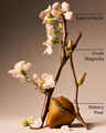 Forever Cherry Blossom Body Lotion