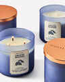 Sweater Weather 3-Wick Candle