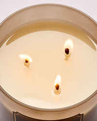 Palo Santo & Sage 3-Wick Candle