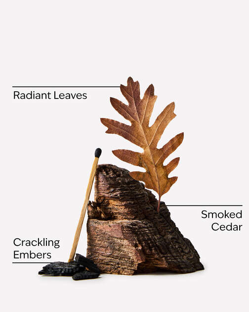 Fireside & Leaves 3-Wick Candle