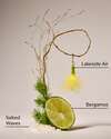 Gone Fishing Wallflowers Refills 2-Pack