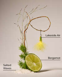 Gone Fishing Wallflowers Refills 2-Pack