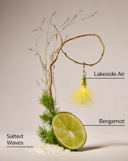 Gone Fishing Wallflowers Refills 2-Pack