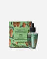 Fresh Balsam Wallflowers Refills 2-Pack