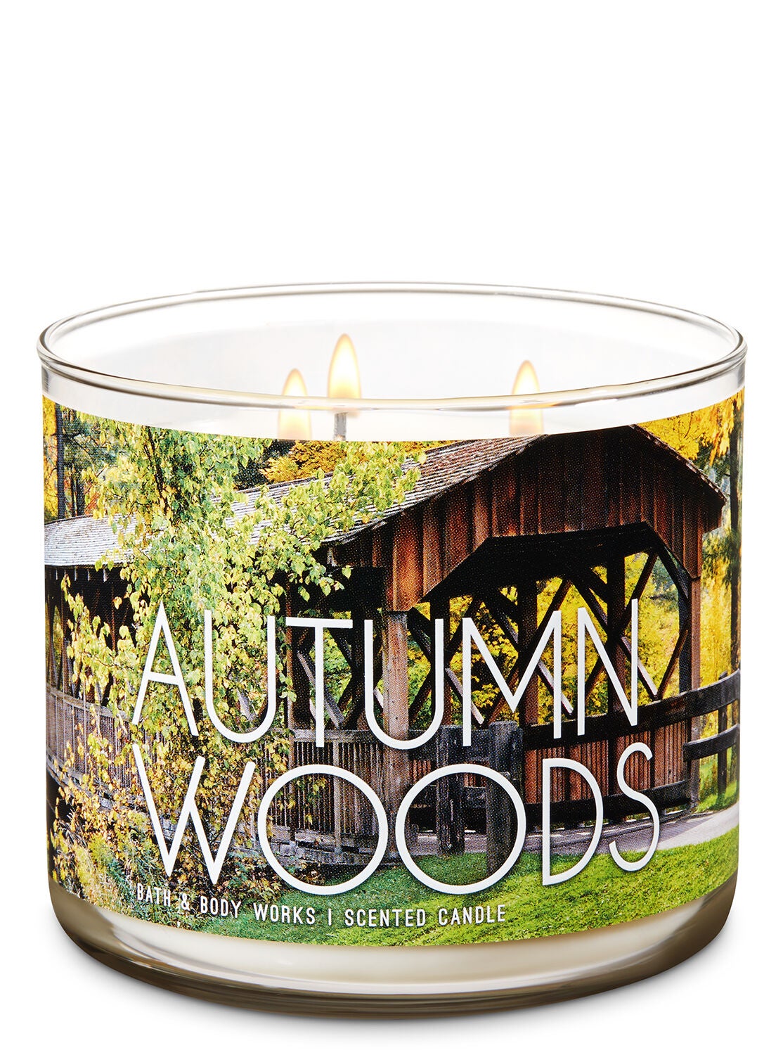 Autumn Woods 3-Wick Candle - Bath And Body Works