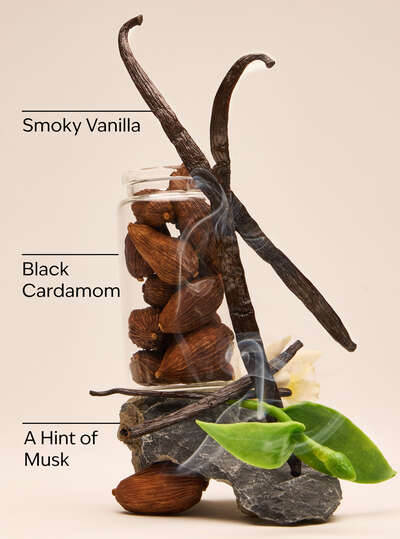 Noir 3-in-1 Hair, Face & Body Wash