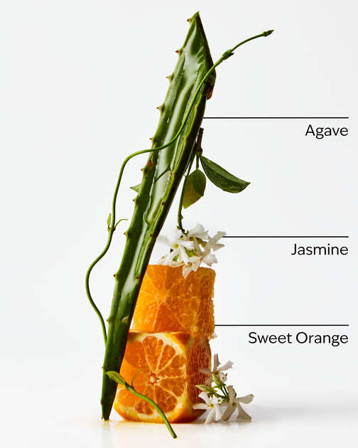 Sweet Orange + Agave Room Mist