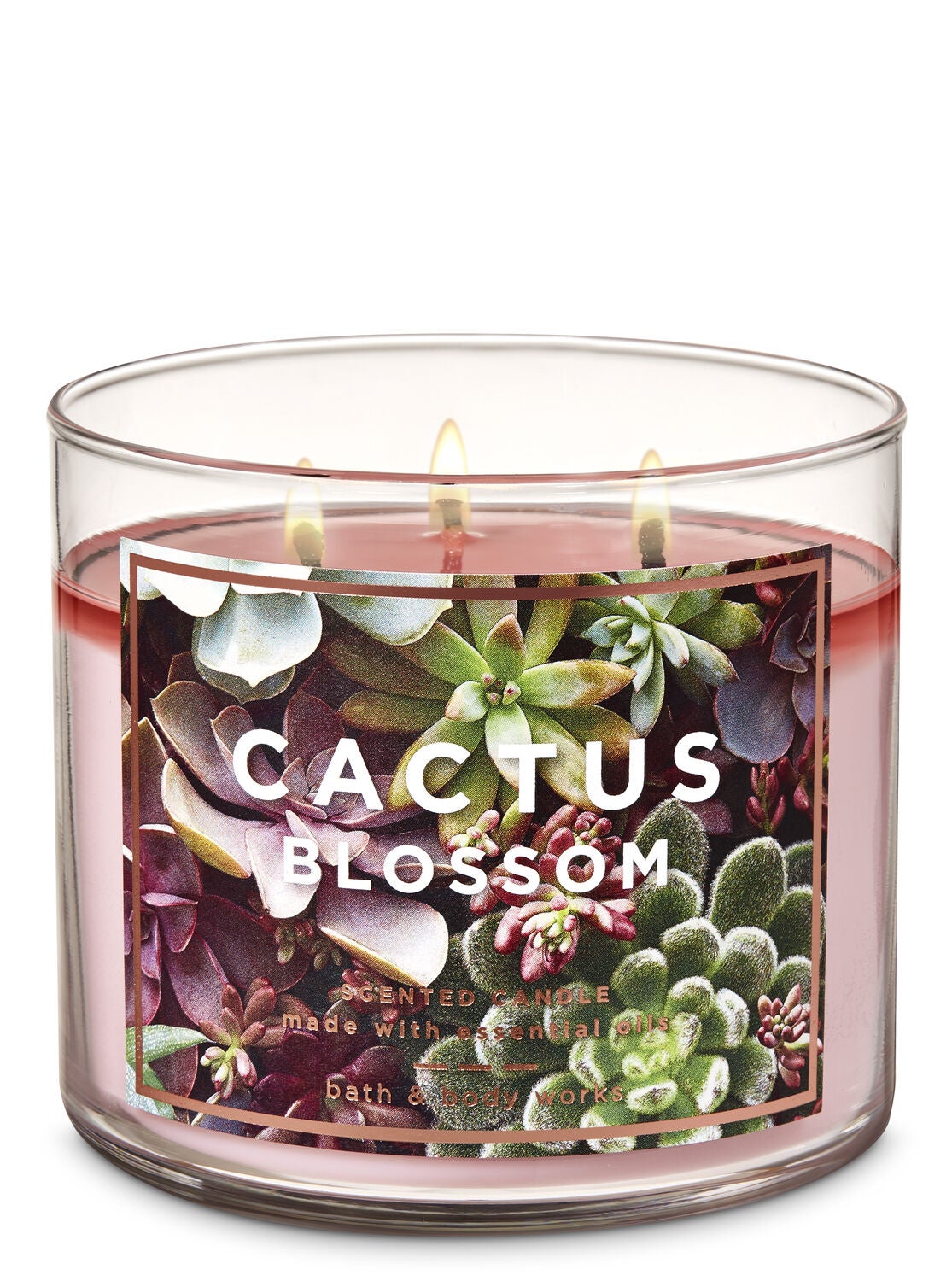 Cactus Blossom 3-Wick Candle - Bath And Body Works