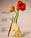 Poppy Body Lotion