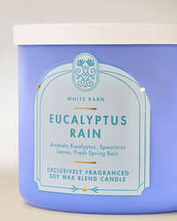 Eucalyptus Rain 3-Wick Candle