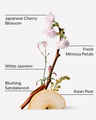 Japanese Cherry Blossom PocketBac Hand Sanitizer