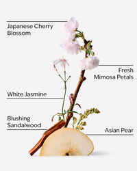 Japanese Cherry Blossom PocketBac Hand Sanitizer
