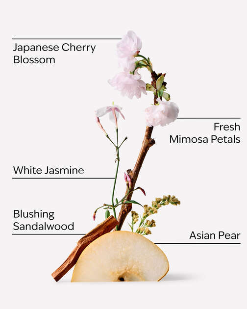 Japanese Cherry Blossom PocketBac Hand Sanitizer