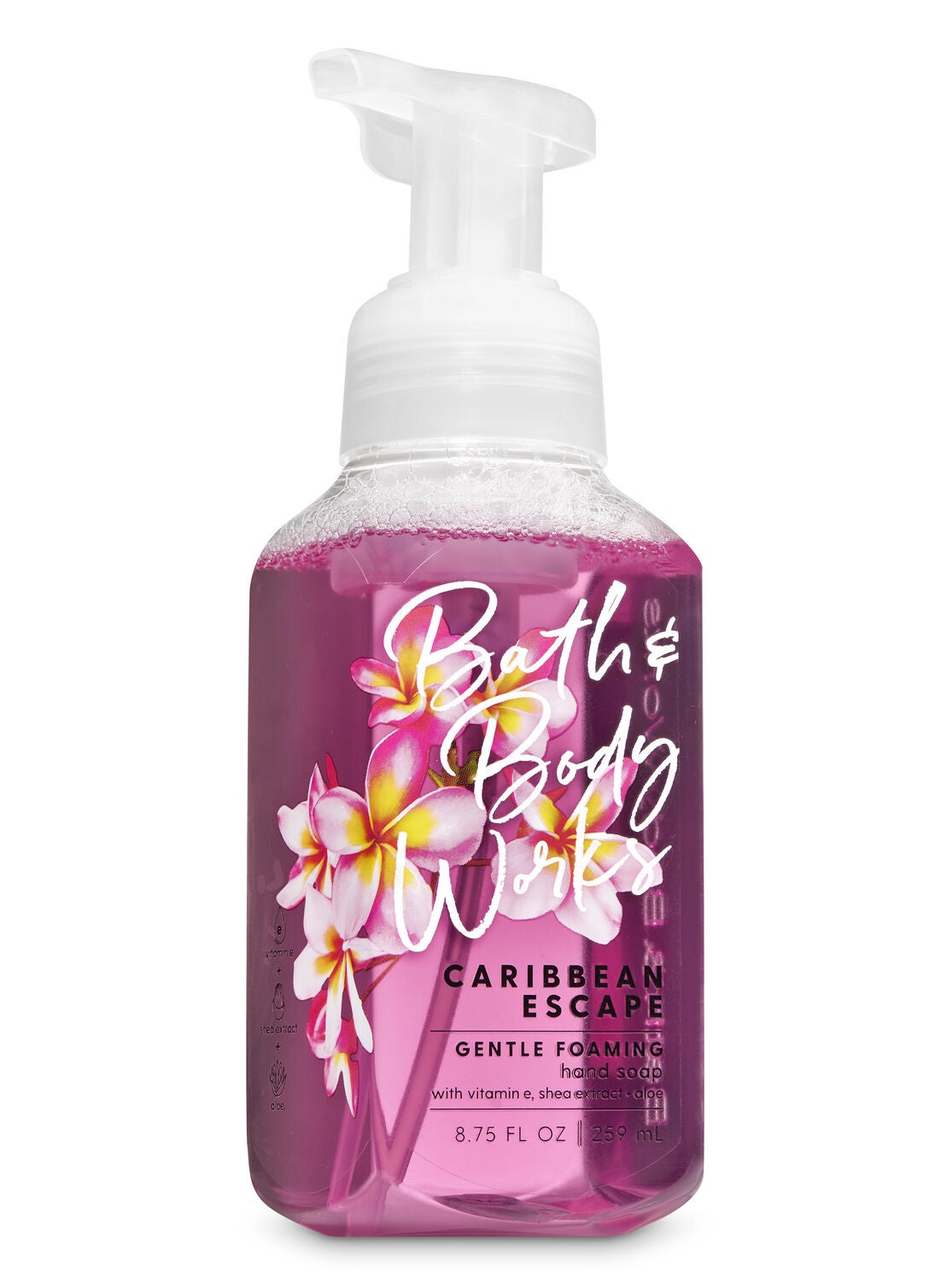 Caribbean Escape Gentle Foaming Hand Soap - Bath And Body Works