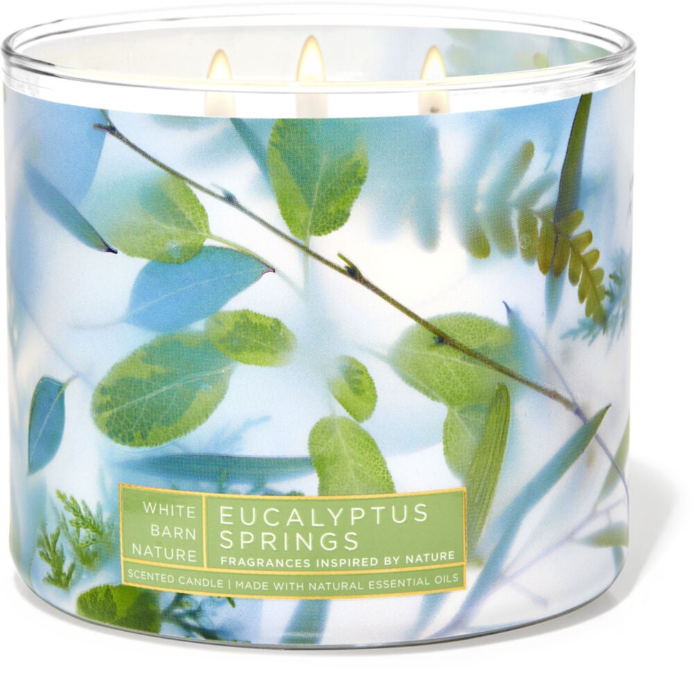 Eucalyptus Springs 3-Wick Candle