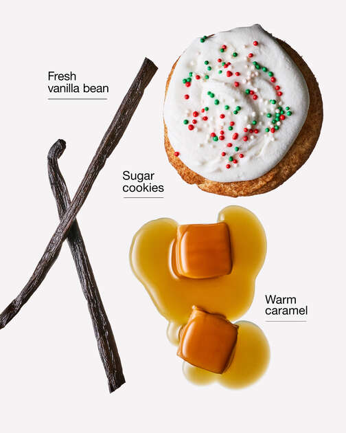 Vanilla Bean Noel Wallflowers Refills 2-Pack