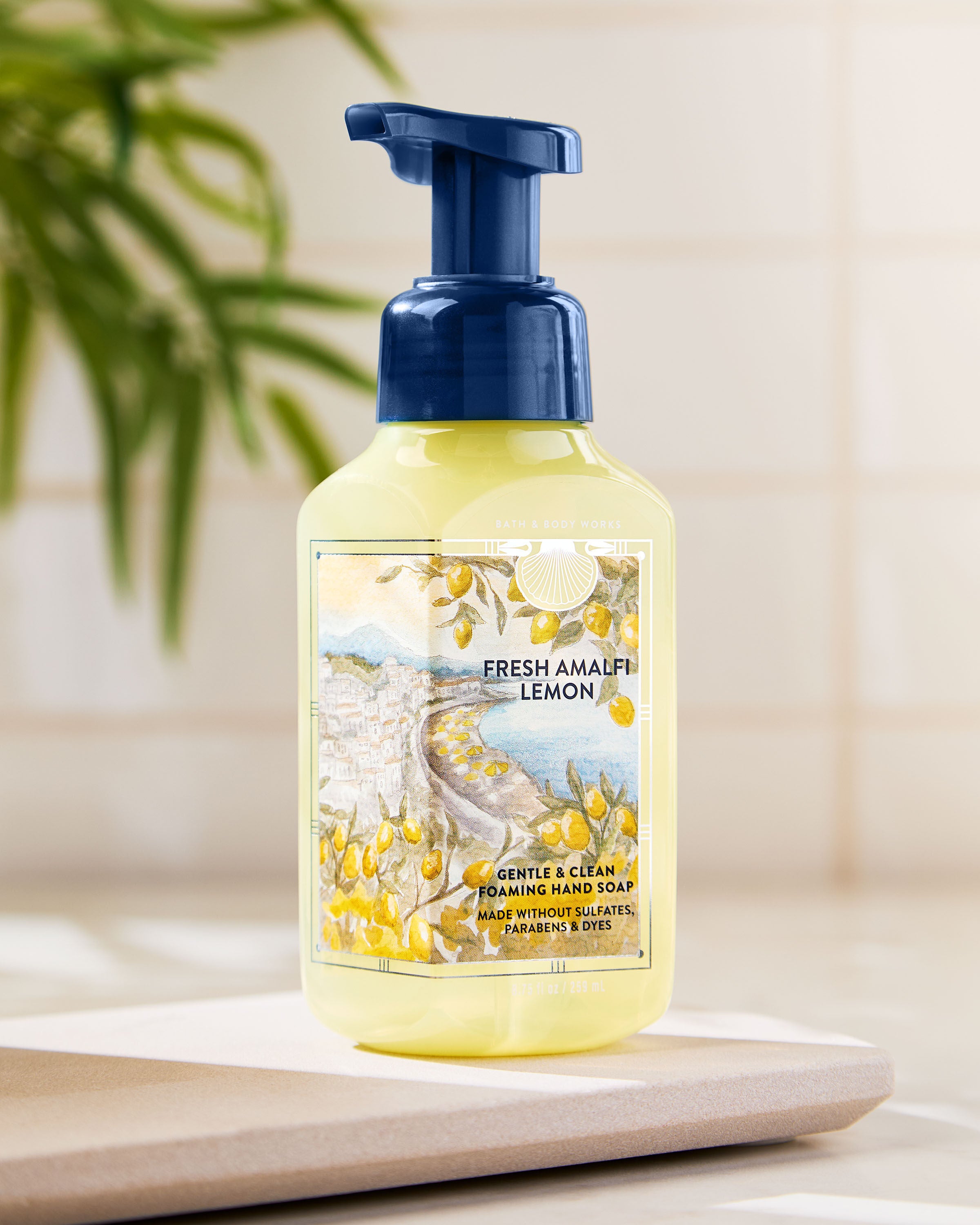 Bath & Body Works