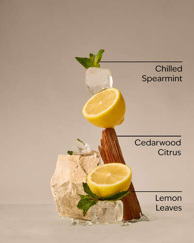 Fresh Amalfi Lemon 3-Wick Candle