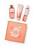 Champagne Toast Gift Box Set | Bath & Body Works