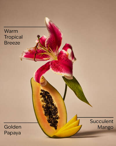 Mango Papaya Paradise Gentle & Clean Foaming Hand Soap