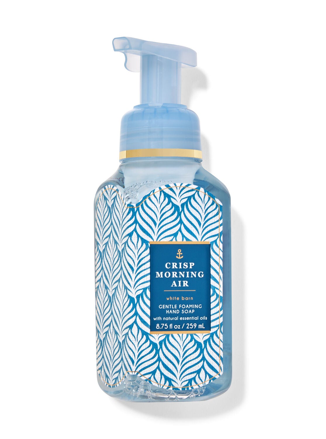Crisp Morning Air Gentle Foaming Hand Soap