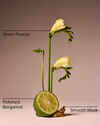 Lounge Talk Wallflowers Fragrance Refill