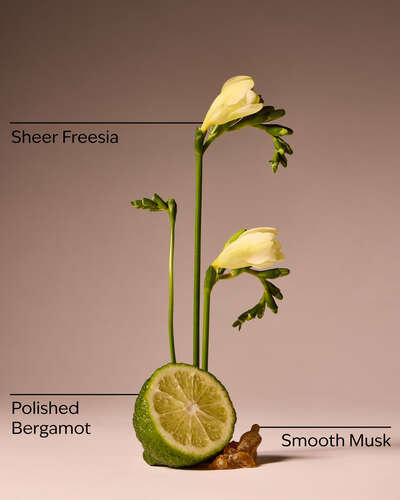 Lounge Talk Wallflowers Fragrance Refill