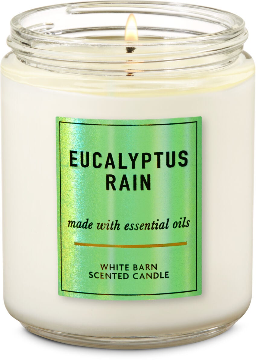 Single Wick Candles Bath Body Works