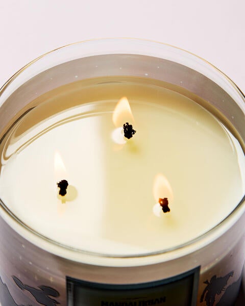 Bounty Hunter 3-Wick Candle