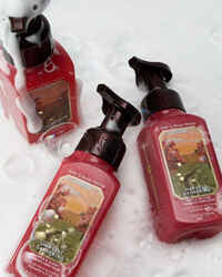 Harvest Gathering Gentle & Clean Foaming Hand Soap