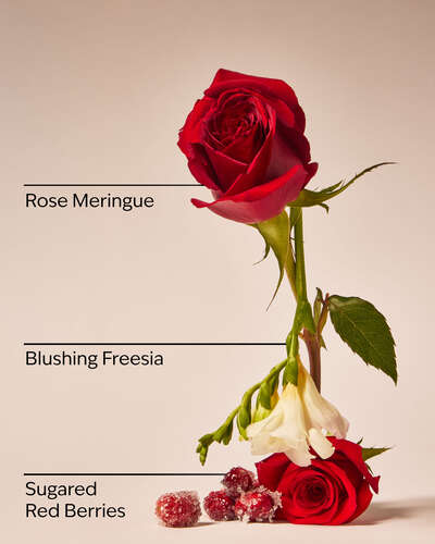 Gingham Love Body Wash