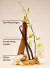 Warm Vanilla Sugar Body Wash