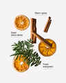 Spiced Citrus Garland Wallflowers Fragrance Refill