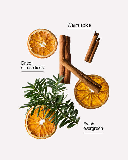 Spiced Citrus Garland Wallflowers Fragrance Refill