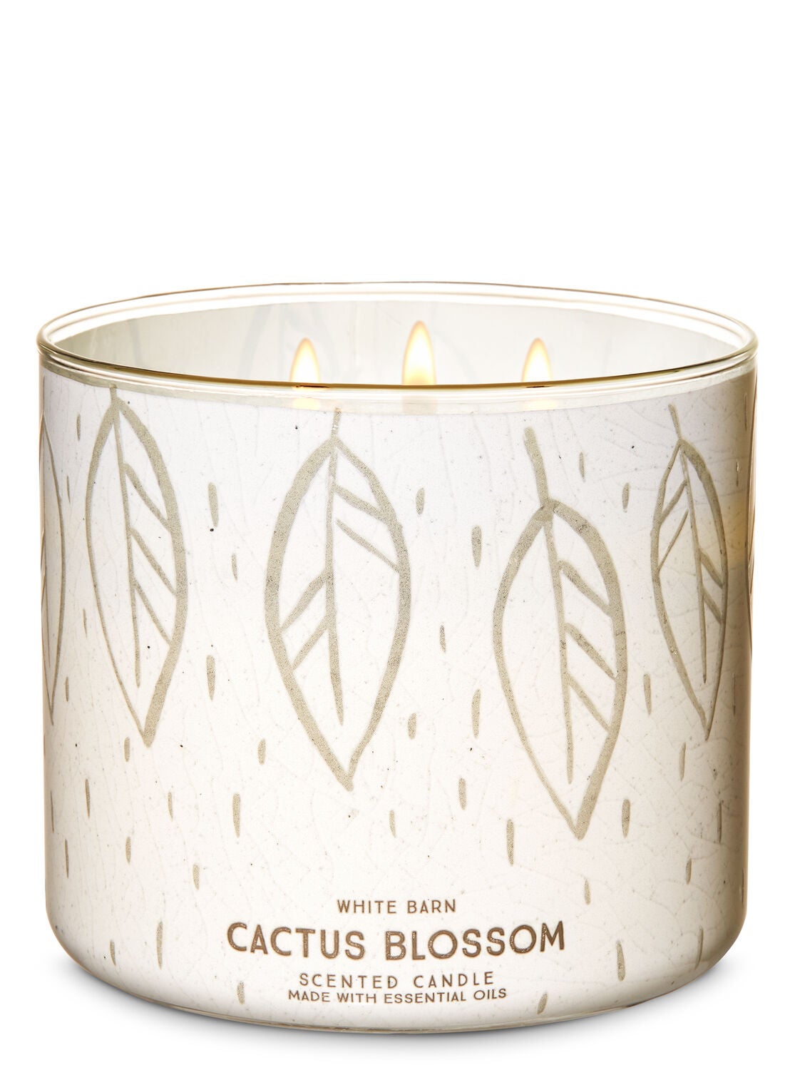 Cactus Blossom 3-Wick Candle - Bath And Body Works