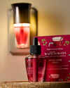 Spiced Apple Toddy Wallflowers Refills 2-Pack