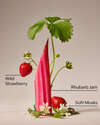 Oh My Rhubarb Travel Size Fine Fragrance Mist