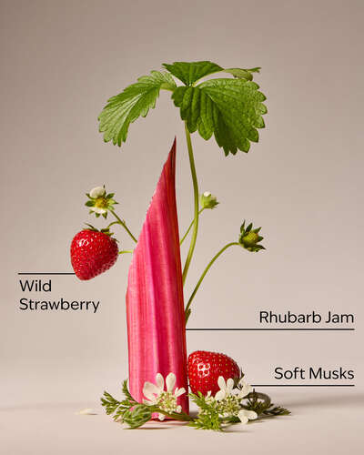 Oh My Rhubarb Travel Size Fine Fragrance Mist