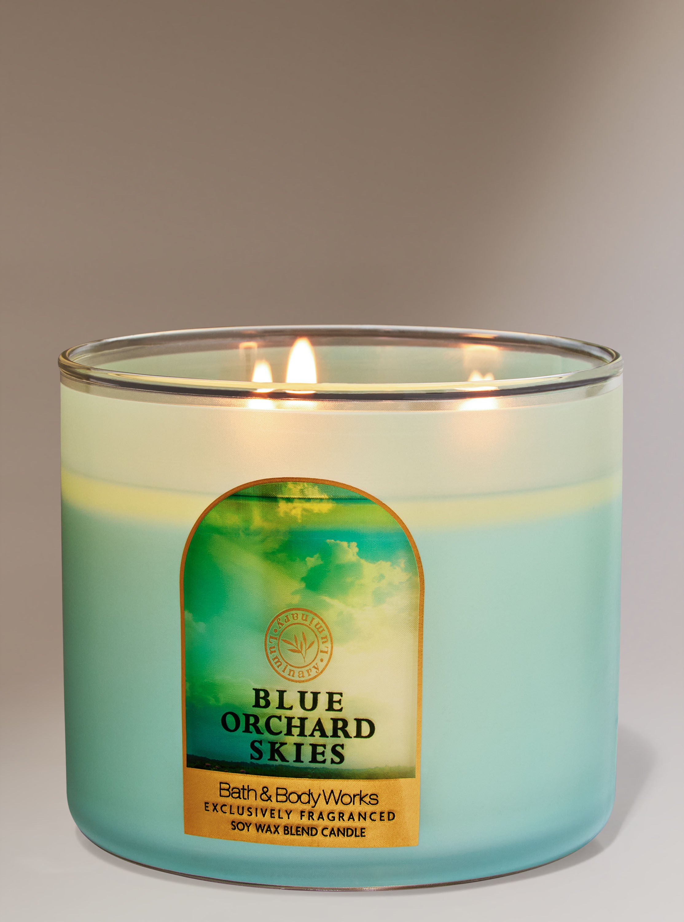 商品画像：BATH AND BODY WORKS 3-WICK CANDLE 14.5 OZ YOU CHOOSE THE 3